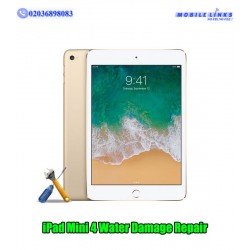 iPad Mini 4 A1538 Water Damage Repair